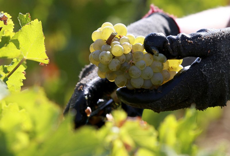 Ecco la spin winera: la nuova app di vincita in Italia a Italy